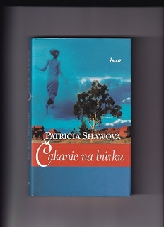 Čakanie na búrku /Patricia Shawová/